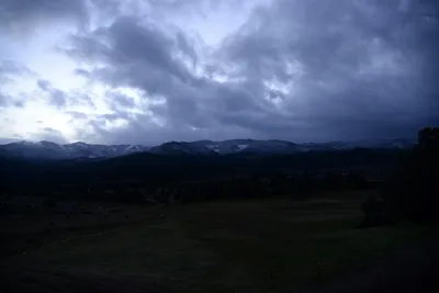 DSC_0983 (Large).JPG